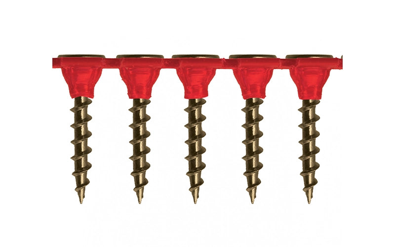 Needle Point Bugle Head Coarse Thread - Collated